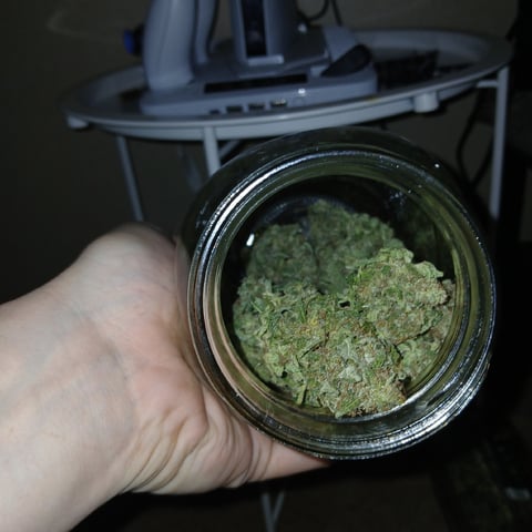 run #3 — done, day 121