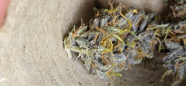 strawberry soda — done, day 78