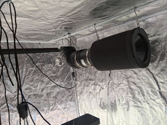 Seedman mix auto & seedman mix auto & GodFather OG — auto, day 61