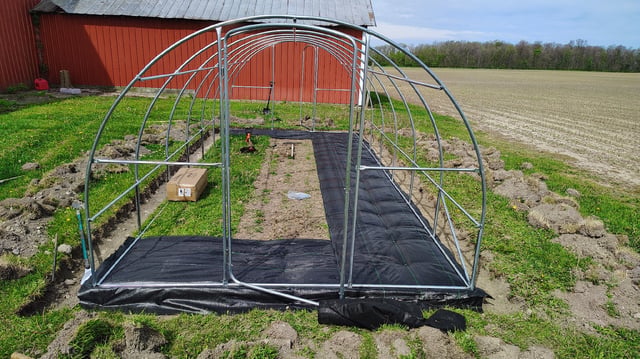 Outdoor 2026 — vegetative, day 2