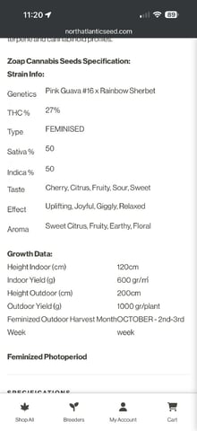 Late Season Start  — germination, day 1