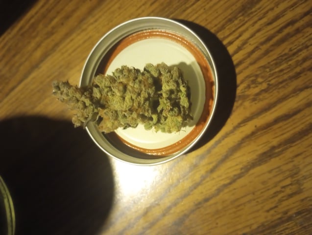 Wizard Punch first grow  — harvest, day 132