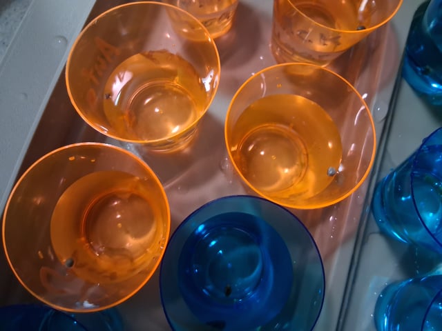 Autoflower/photos  — grow_setup, day 1