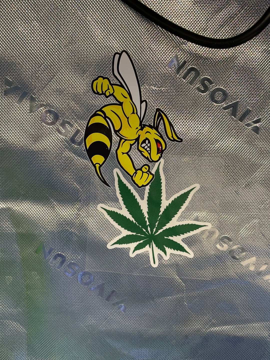 Blue Zushi (Dutch Passion Genetics)