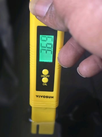 Platnium Jelly — vegetative, day 56