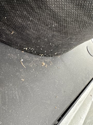 Grow Shed Grow #1 — vegetative, day 30