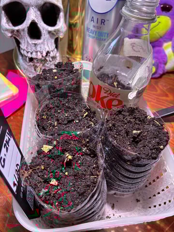 My First Grow — germination, day 5