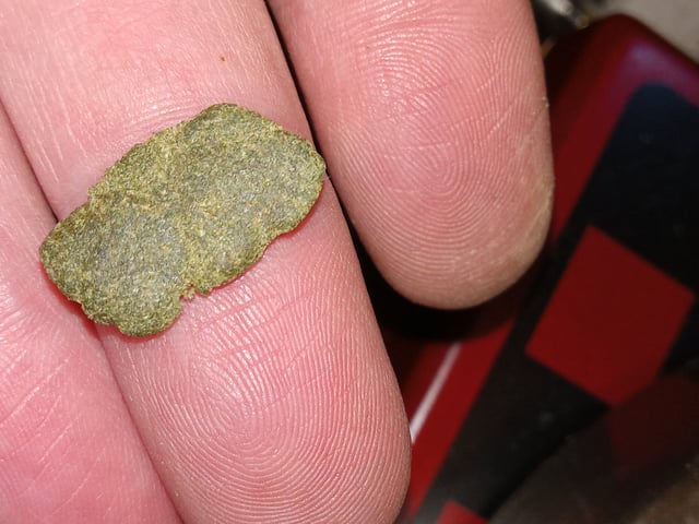 Blueberry critical kush x purple peyote wifi  and one L.a kush cake . — flower, day 41