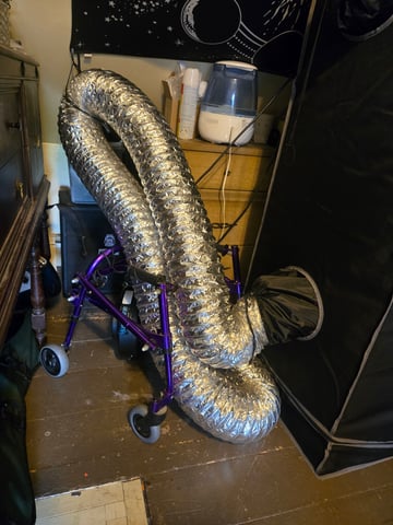 Looking for advice! — flower, day 47