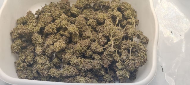Grape Gasoline