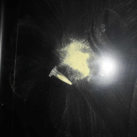 week 1 — flower, day 57