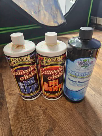 Sour Patch Kids — flower, day 11