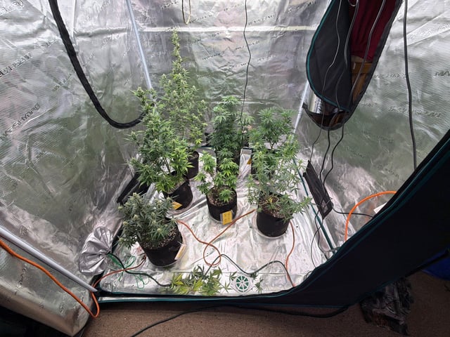 5’x5’ — flower, day 22