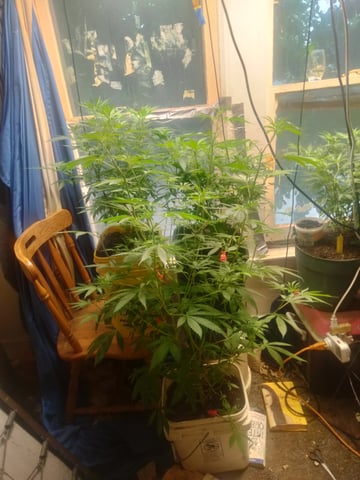 jay seaton  — grow_setup, day 1