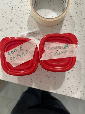 new seeds grow #2 — grow_setup, day 1