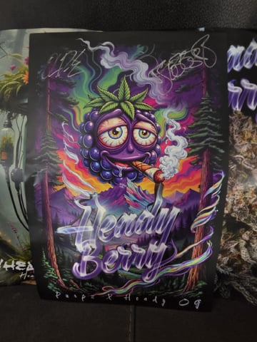Sour Headies/OGBX1 — flower, day 113