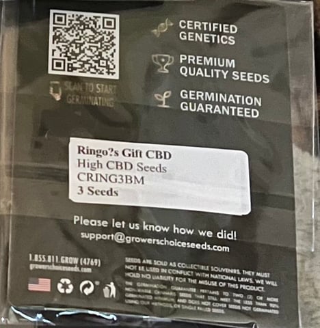 Inside Mother Plants — grow_setup, day 2