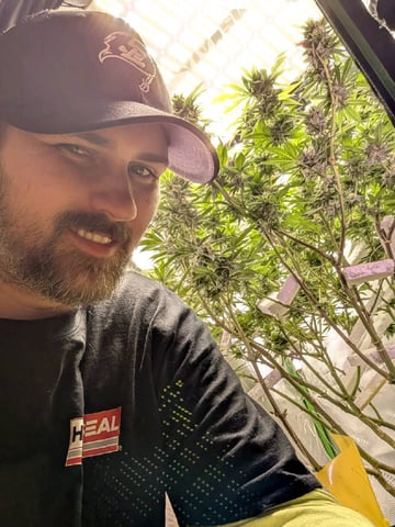 Golden Goat — flower, day 27