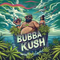 9x Bubba Kush Fem.