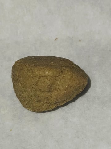 Fastbuds Autoflower Run — harvest, day 92