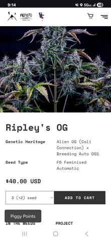 gary poppins — flower, day 72