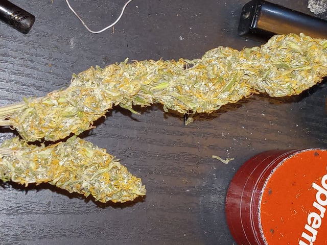   and one L.a kush cake . — flower, day 127