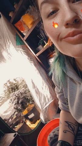 Shameless Self Promo — none, day 1