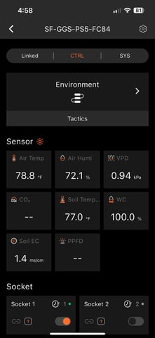sticking to basics second grow — vegetative, day 11