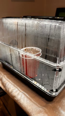 Spring/Summer 2026 Indoor Grow