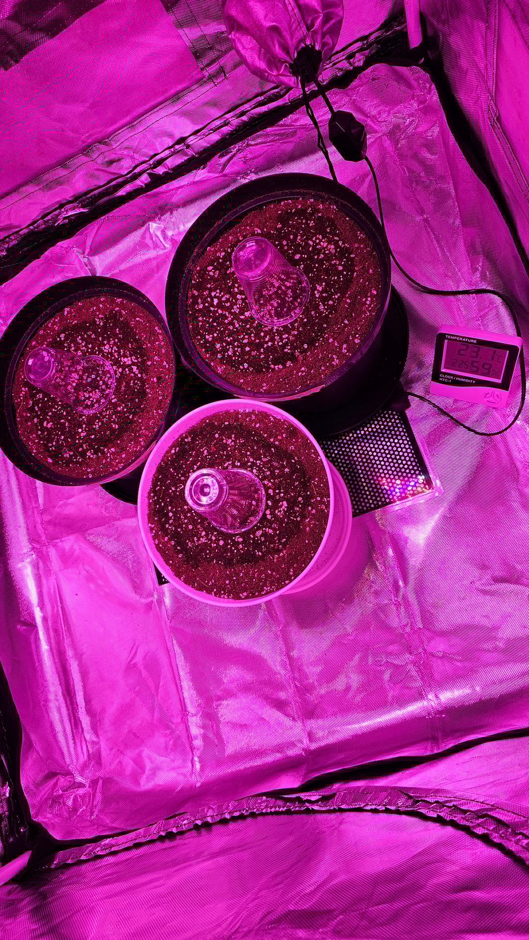 first grow adventure 