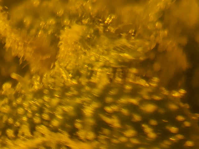 high octane x holy grail  — auto, day 24