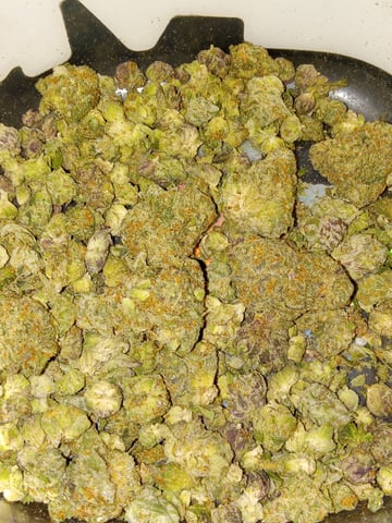 closet grow for veg with a.c infinity air intake fan .With no carbon filter just suction,and spider farmer sf 7000.Then a spider farmer sf tent 4×4×6.5with a G1500 l.e.d from spiderfarmer and spider farmer 6inch clip oscalating fan. — flower, day 32