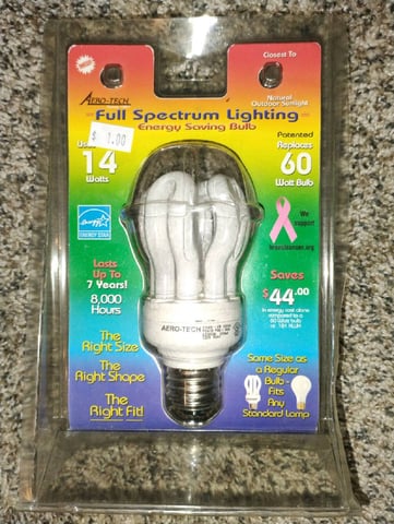 GreenCrack Feminized  (Samurai Squirrel Seeds) — germination, day 2