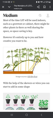 closet grow for veg with a.c infinity air intake fan .With no carbon filter just suction,and spider farmer sf 7000.Then a spider farmer sf tent 4×4×6.5with a G1500 l.e.d from spiderfarmer and spider farmer 6inch clip oscalating fan. — vegetative, day 8
