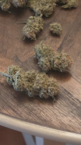 lilac diesel Rbx2