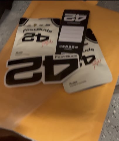 420 Fast Buds Mixed Pack — germination, day 1