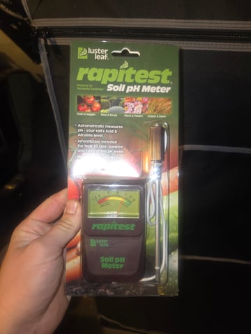 Looking for advice! — vegetative, day 10