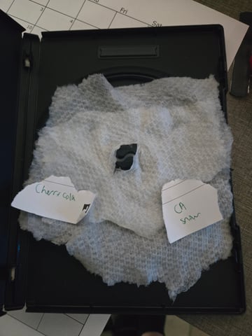 Fastbuds Autoflower Run — germination, day 1