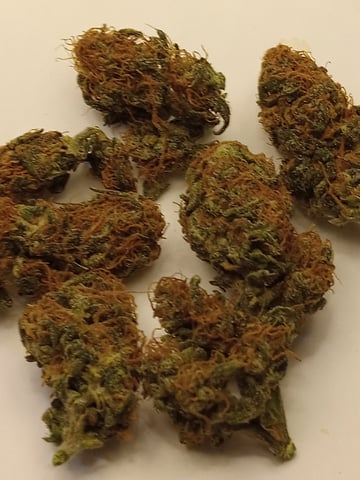   and one L.a kush cake . — flower, day 134