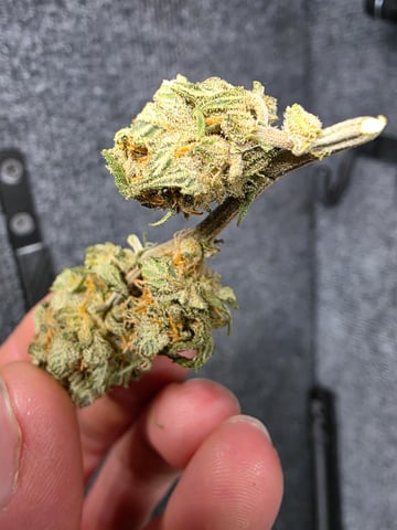 Pineapple Express  — done, day 85