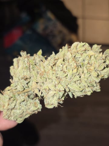 3rd Auto Grow — flower, day 148