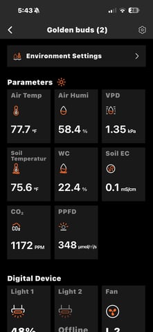  Trying to go big — vegetative, day 59