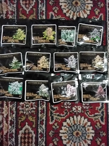 Atlas Seeds — none, day 2