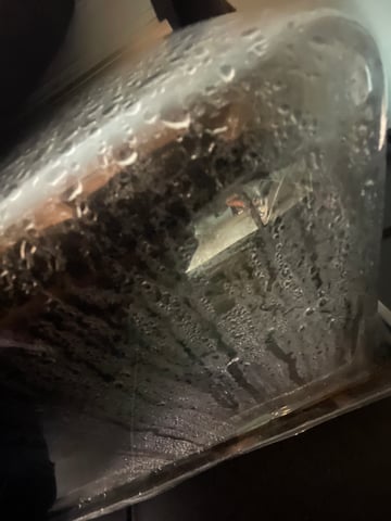 1st Ever Grow (GodFather OG) (Coco) — germination, day 1