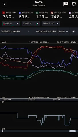 Big Momma Blue Dream  — flower, day 40