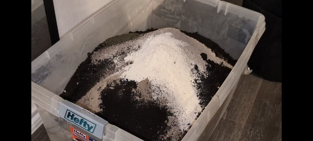 Mixed Grow — grow_setup, day 1