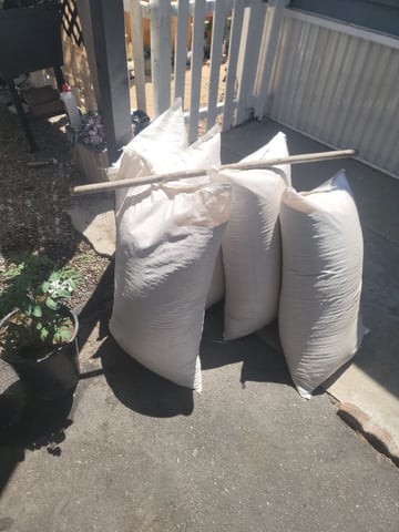 Ghetto Growing — germination, day 8