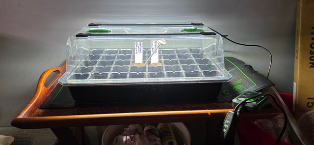 Fall '25 Indoor 2x4 — grow_setup, day 1