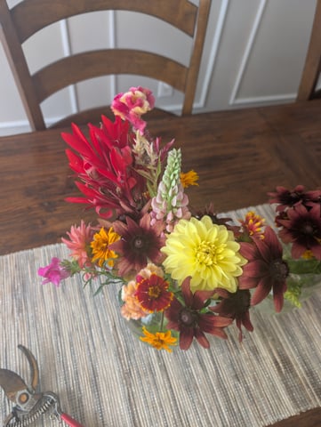 See what grows — vegetative, day 180