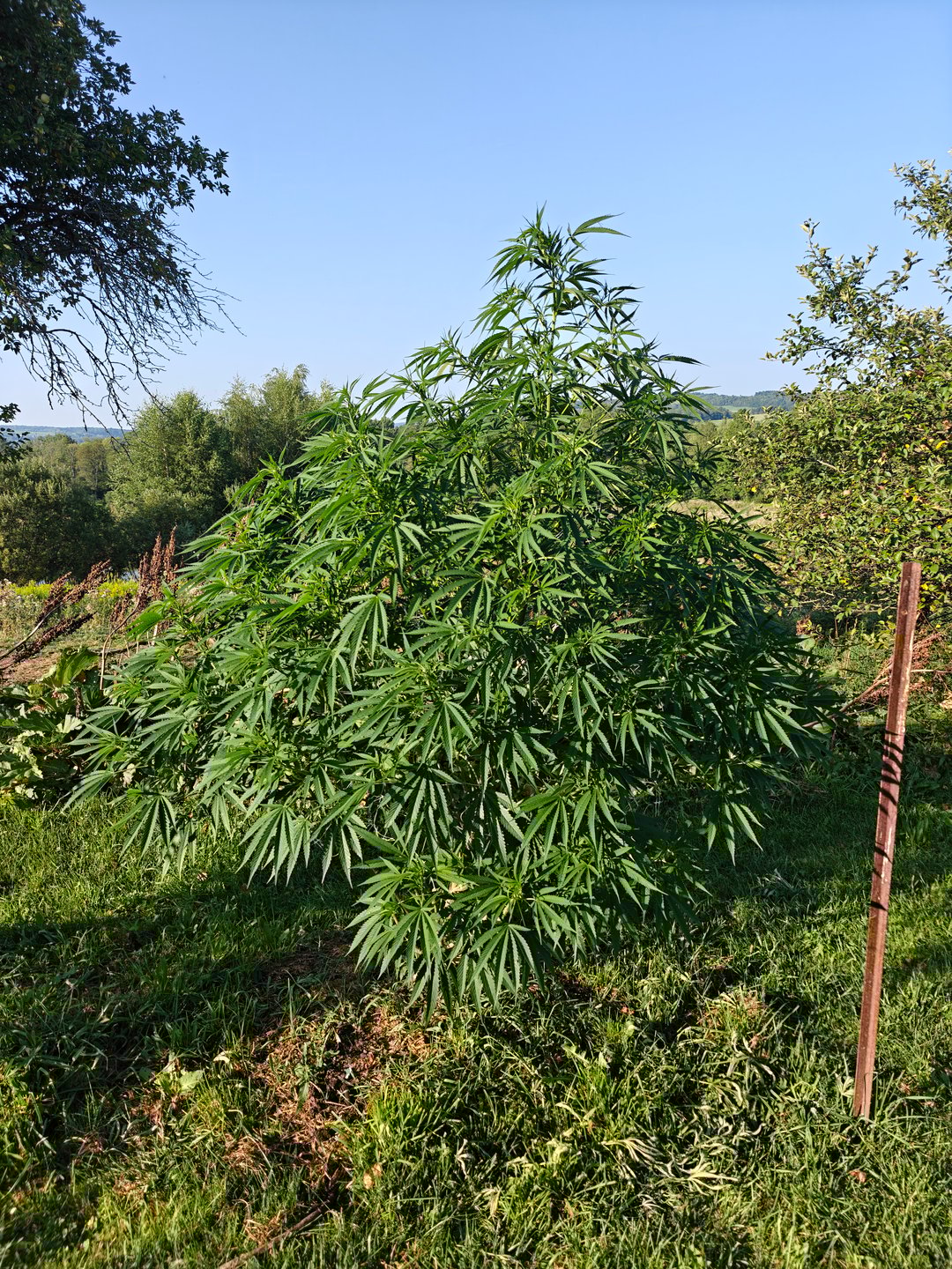 outdoors  unground 2025